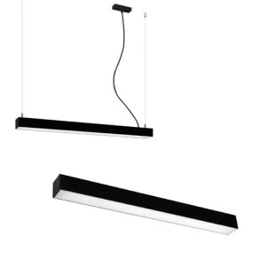 PINNE PENDANT / WALL LAMP