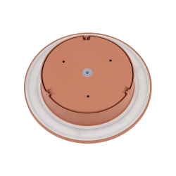 Aria Rustr�d-13,5cm