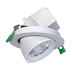 LED scoop downlight