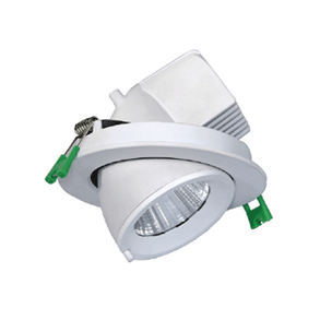 LED scoop downlight