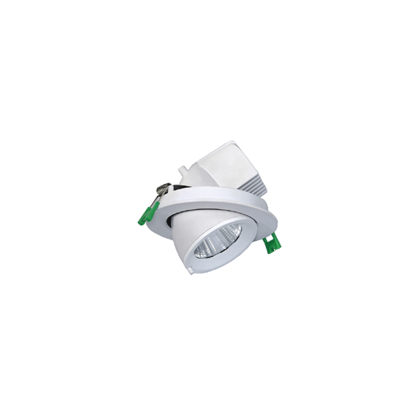 LED scoop downlight