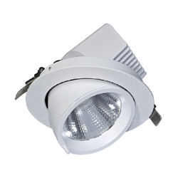 LED scoop downlight