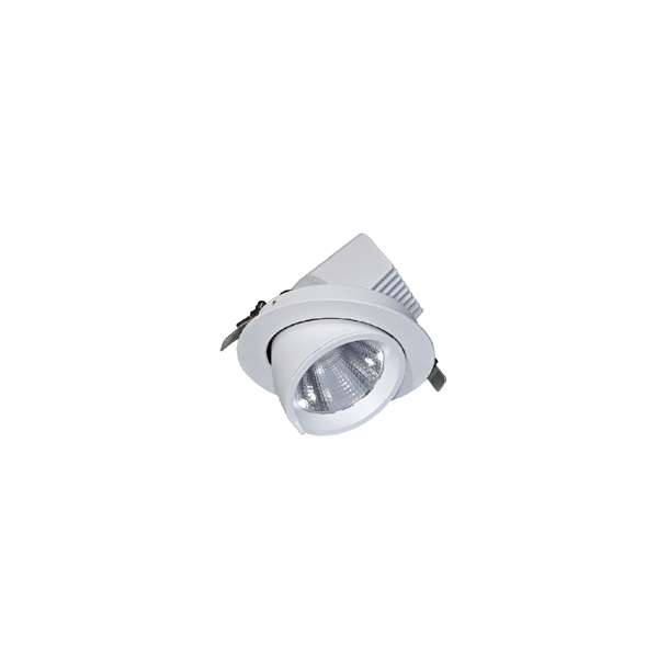 LED scoop downlight
