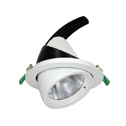 LED scoop downlight