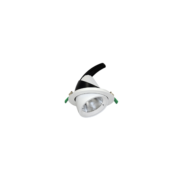 LED scoop downlight