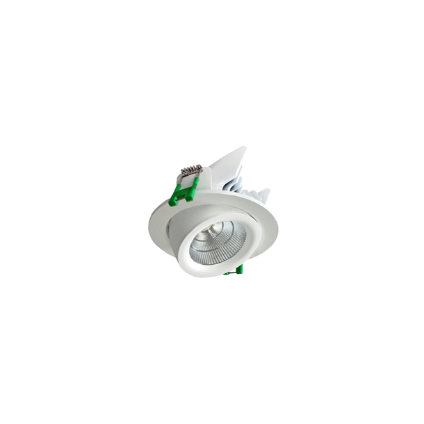 LED scoop downlight
