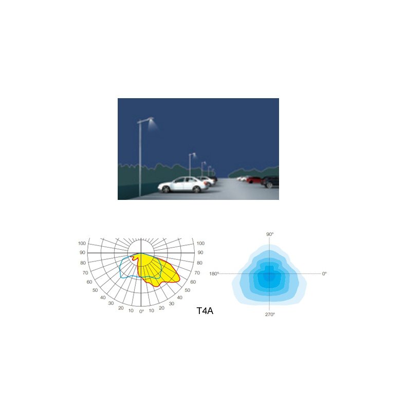 FOSS STREET LIGHT MFD221-60